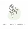 Корзина с ароматными гиацинтами  1