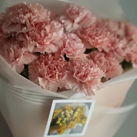 Монобукет из 15 диантусов  от интернет-магазина «VeraRosa»